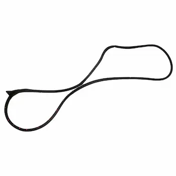 Door Seal Window Weatherstrip - Left, Front