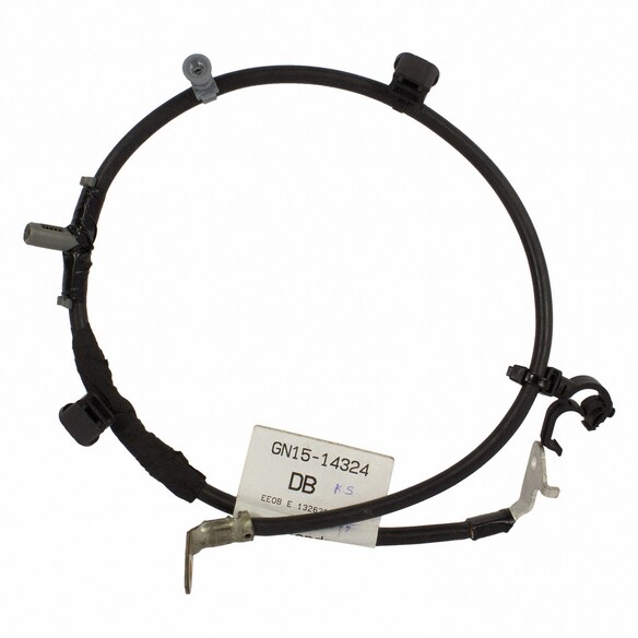 Strap EARTH - 2.0L Main Image