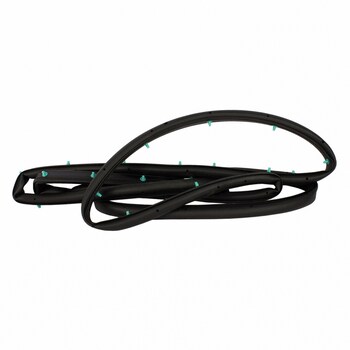 Door Seal Weatherstrip - Front