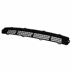Bumper Grille - Front (ST) Main Image