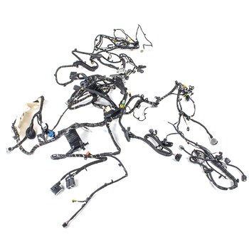 Body Wiring Harness - Rear, Driver