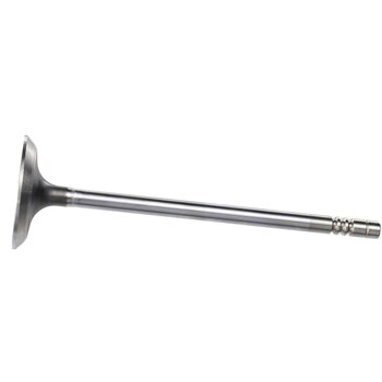 Intake Valve LP - Inlet 5.0L