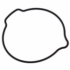 Engine Oil Pump Seal Gasket - 6.0L Main Image