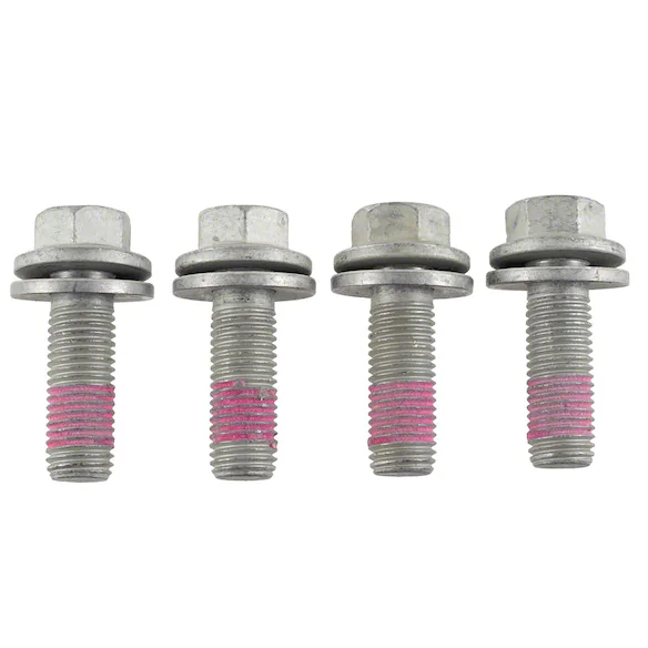 Disc Brake Caliper Anchor Plate Bolt Bracket Mounting - M16 X 48MM, Front Main Image