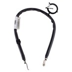 Strap EARTH - 1.0L (6-MT) Main Image