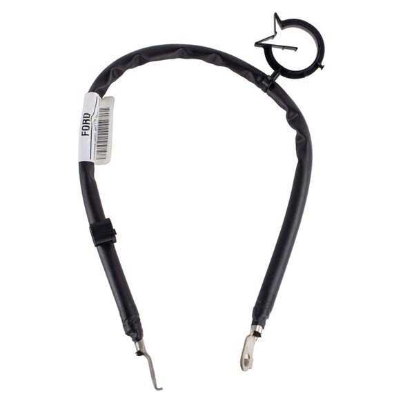 Strap EARTH - 1.0L (6-MT) Main Image