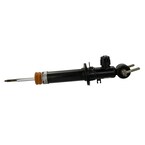 Suspension Strut - Front Main Image