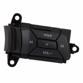 Cruise Control Switch - Right, Upper