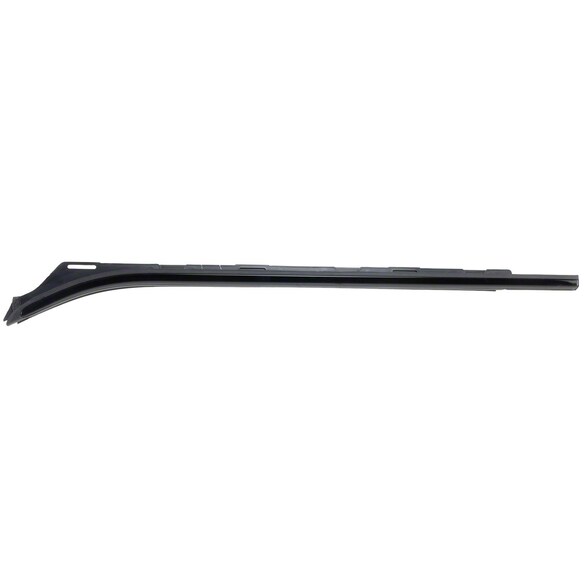 Door Belt Molding Window Weatherstrip - Left, Rear Main Image