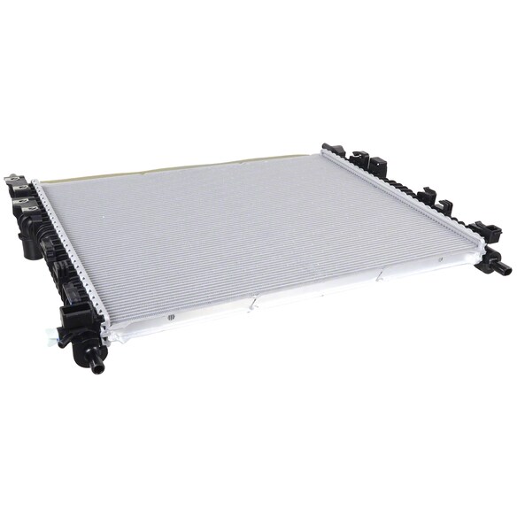 729794.jpg