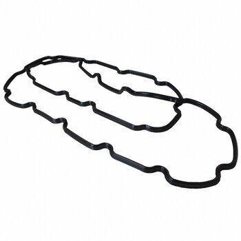 Engine Oil Pan Gasket