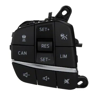 Cruise Control Switch - Left