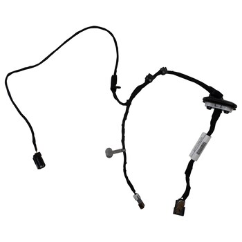 Wiring Lamps - Rear (Raptor Series,)