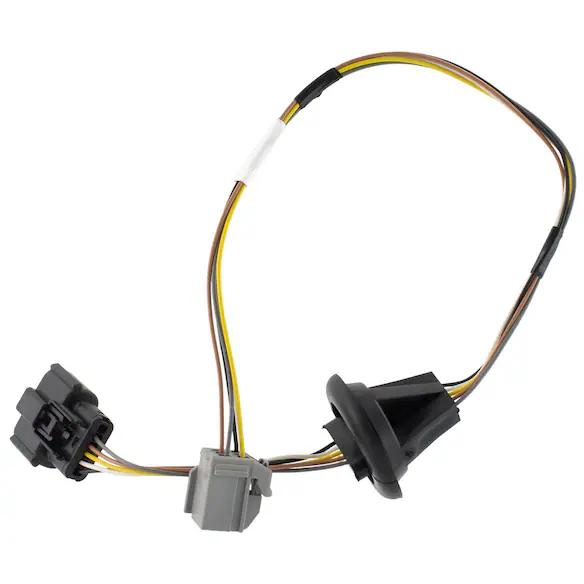 Tail Light Socket - Rear Main Image