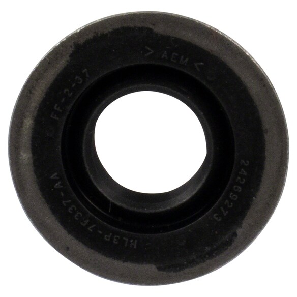 419797.jpg