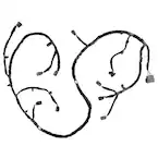 591798.jpg