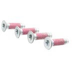 Tailgate Hinge Bolt (BEV, Performance) Main Image