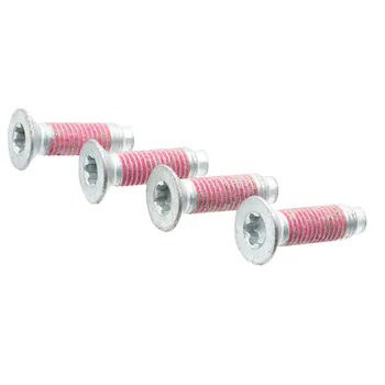 Tailgate Hinge Bolt (BEV, Performance)