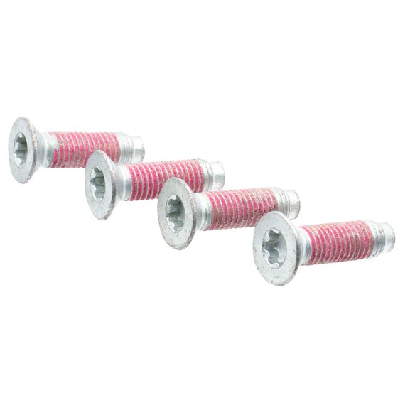 Tailgate Hinge Bolt (BEV, Performance) Main Image