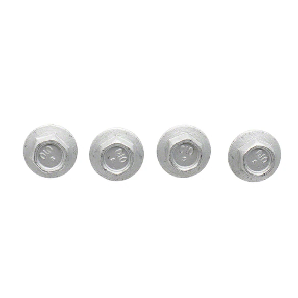 Spare Tire Lock Bolt Screw - M8 X 1.25 18, Rear Main Image