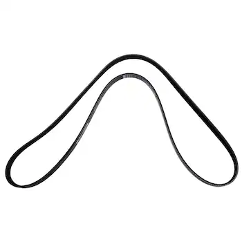 Serpentine Belt