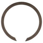 Snap ring Main Image