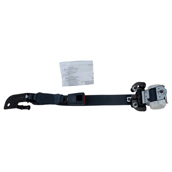 Seat Belt - Rear, Center