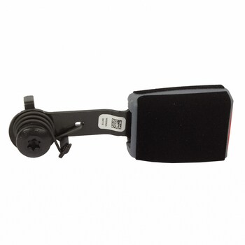 Seat Belt Receptacle - Right, Rear