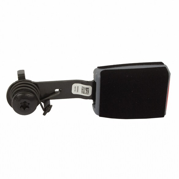 Seat Belt Receptacle - Right, Rear Main Image