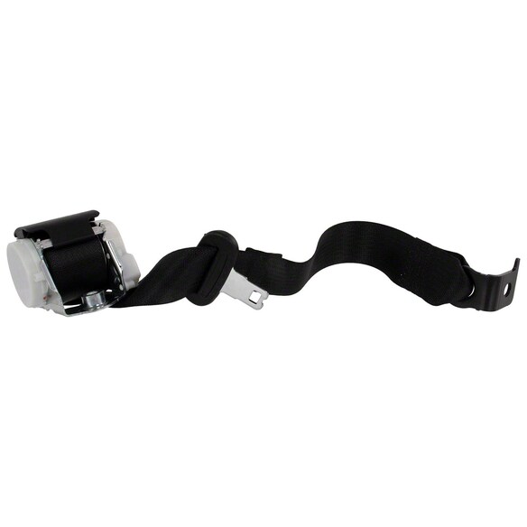 Seat Belt Lap and Shoulder - Rear, Center Main Image