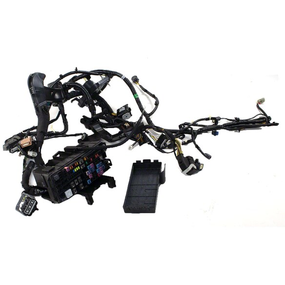 555805.jpg