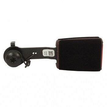 Seat Belt Receptacle - Right, Rear