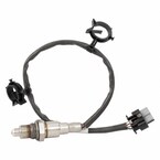 Oxygen Sensor Exhaust Gas - Lower 1.6L Main Image