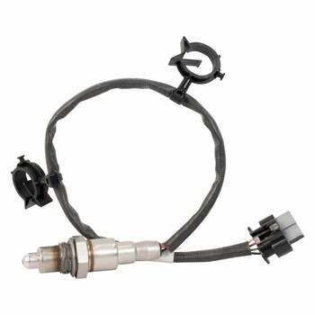 Oxygen Sensor Exhaust Gas - Lower 1.6L