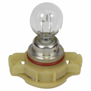 Fog Light Bulb And Socket