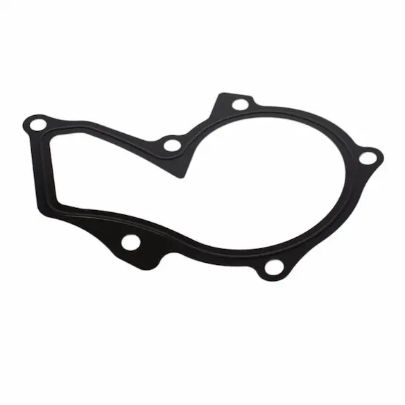 Engine Water Pump Gasket Main Image