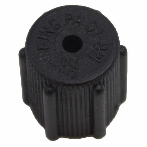 AIR CONDITIONING (A/C) Service Valve Cap - M8 x 1MM, Front Main Image