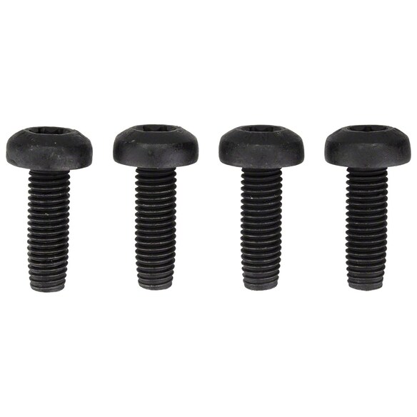 Seat Belt Lap and Shoulder Bolt Screw Main Image