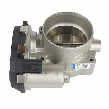 Fuel Injection Throttle Body and MOTO - 4.6L