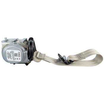 Seat Belt - Right, Rear