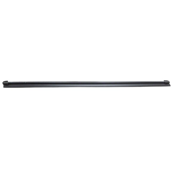 Door Window Belt Weatherstrip - Left, Front Main Image