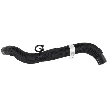 Radiator Coolant Hose - Lower