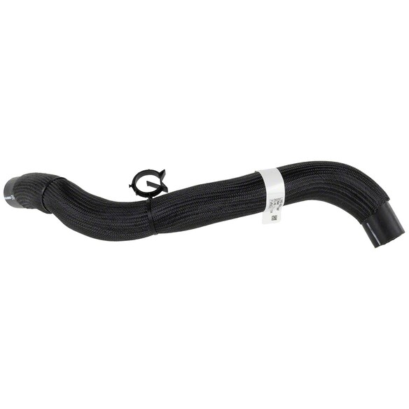 Radiator Coolant Hose - Lower Main Image