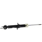 Suspension Shock Absorber - Front Main Image