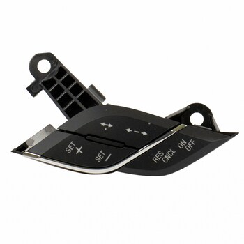 Cruise Control Switch - Left, Lower