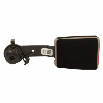 Seat Belt Receptacle - Right, Rear