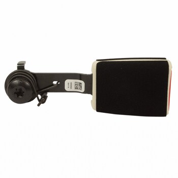 Seat Belt Receptacle - Right, Rear