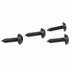 Tail Light Screw Main Image