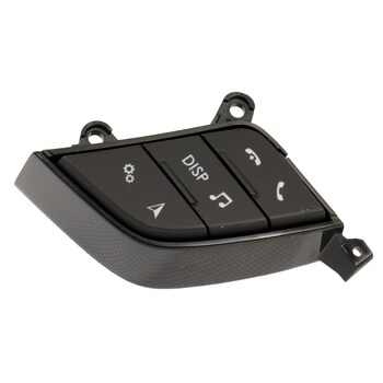 Cruise Control Switch - Right, Lower