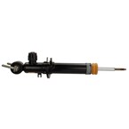 Suspension Strut - Front Main Image